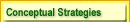 Conceptual Strategies
