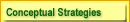 Conceptual Strategies